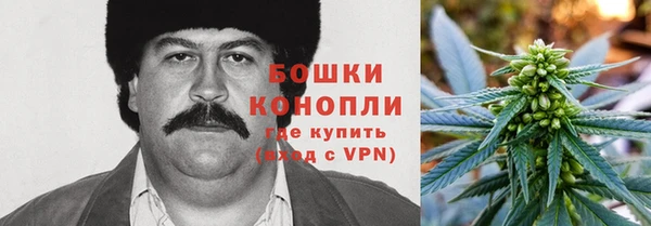 гидра Алексеевка