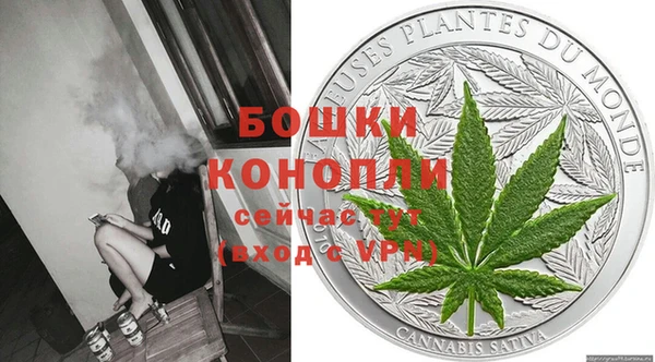 ALPHA PVP Новозыбков