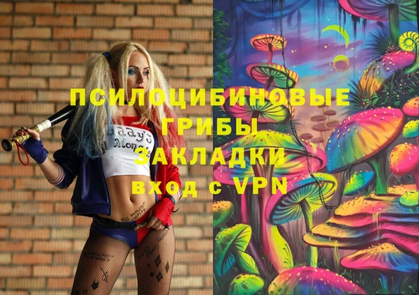 гидра Алексеевка
