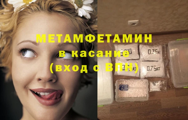 крисы Абаза